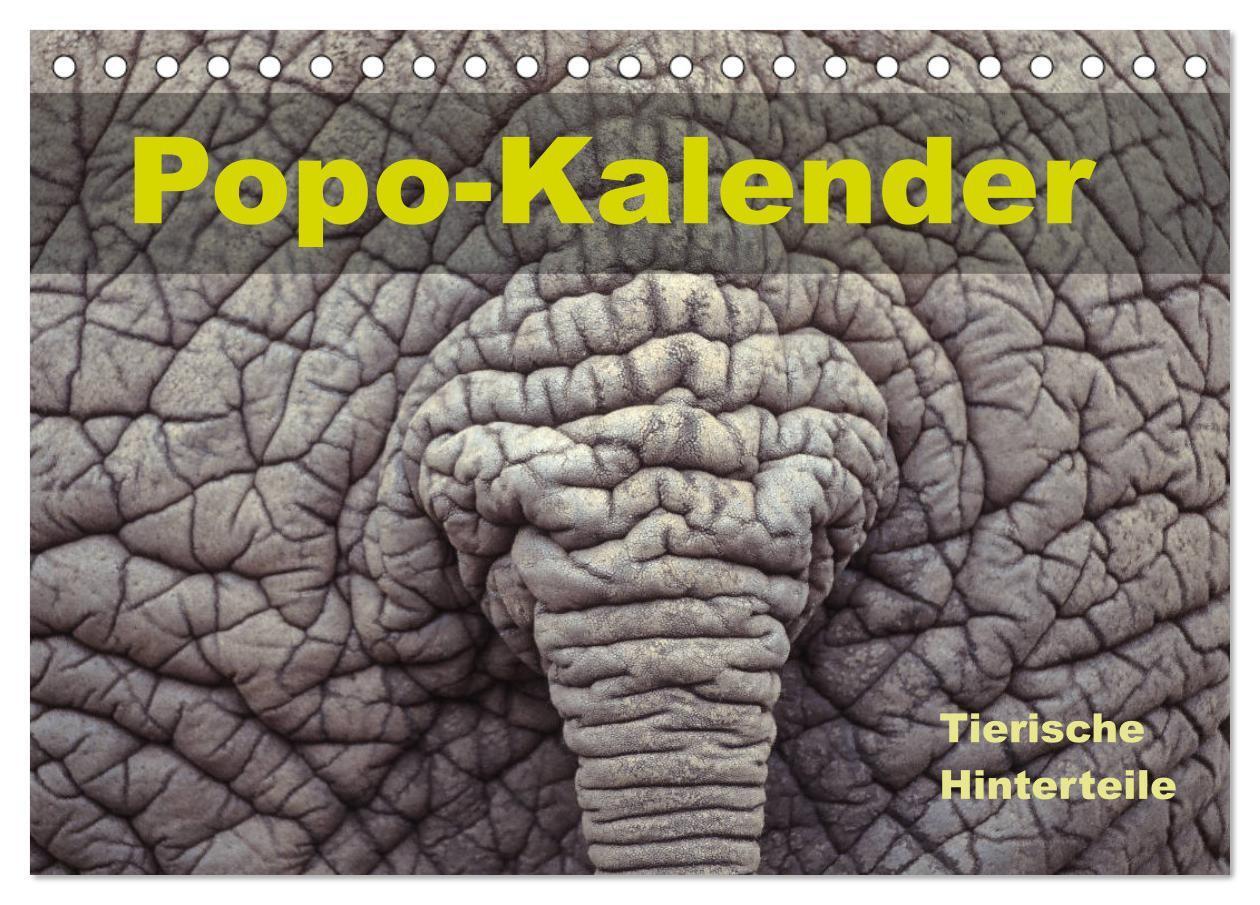 Cover: 9783675527102 | Popo-Kalender (Tischkalender 2024 DIN A5 quer), CALVENDO...