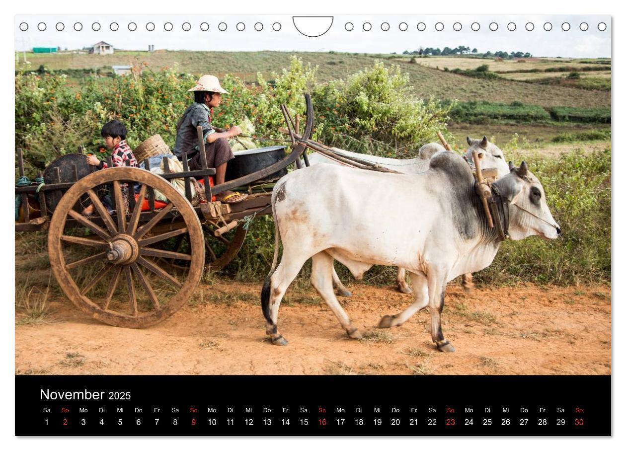 Bild: 9783435747221 | Myanmar 2025 (Wandkalender 2025 DIN A4 quer), CALVENDO Monatskalender