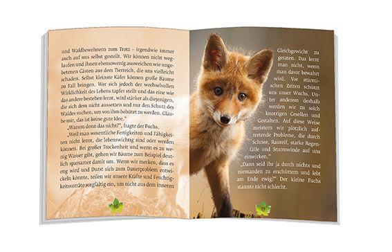 Bild: 9783869178882 | Das Märchen vom Wunder Wald | Ulrich Peters | Taschenbuch | Deutsch