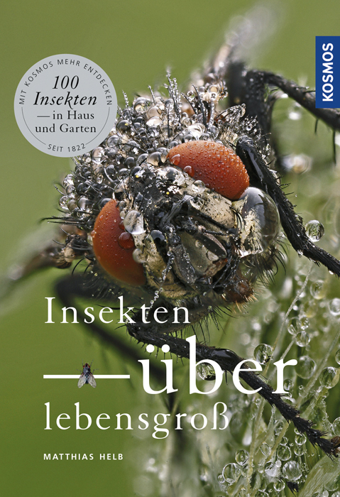 Cover: 9783440151501 | Insekten überlebensgroß | 100 Insekten - in Haus und Garten | Helb