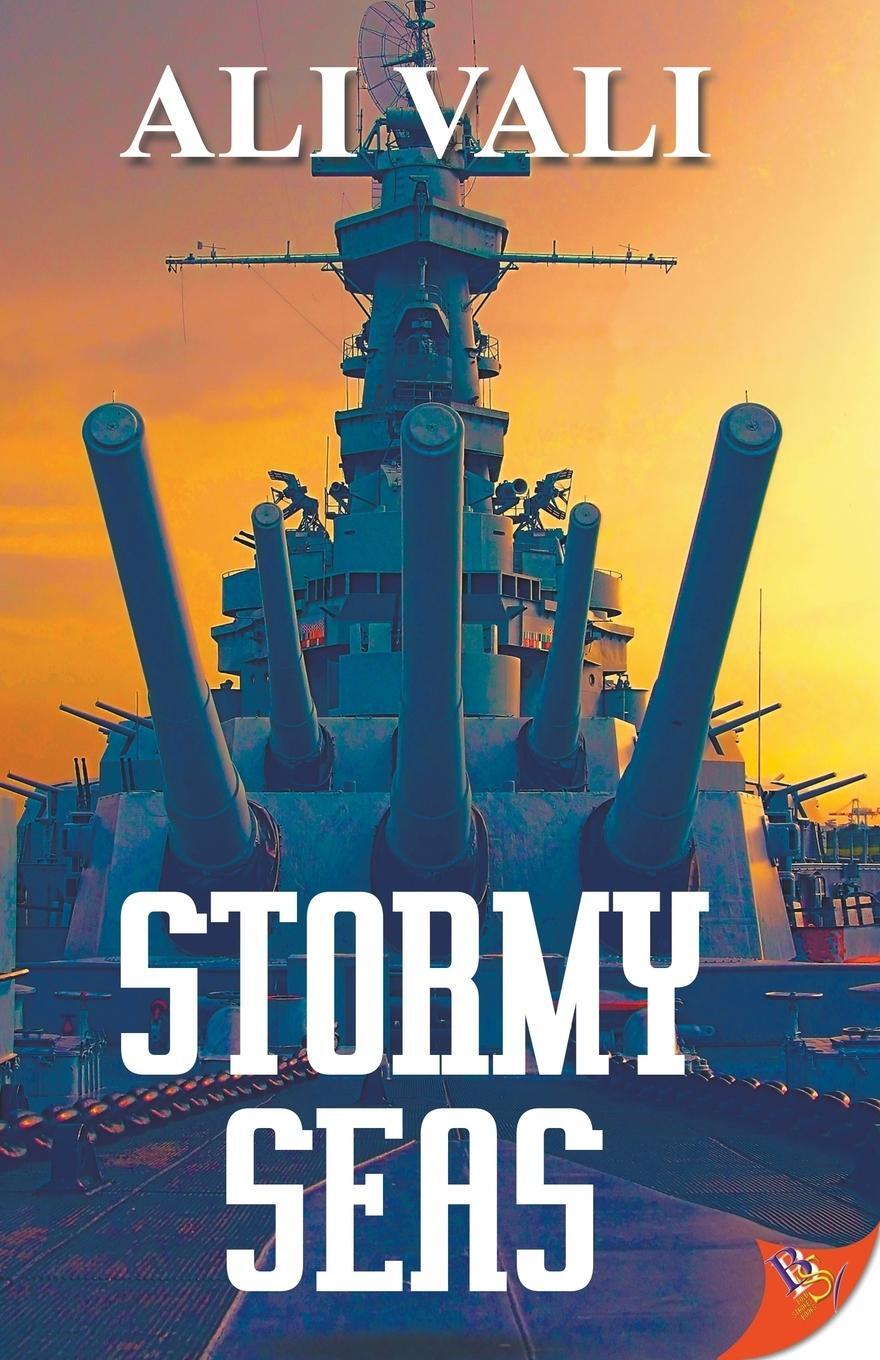 Cover: 9781635552997 | Stormy Seas | Ali Vali | Taschenbuch | Paperback | Englisch | 2019