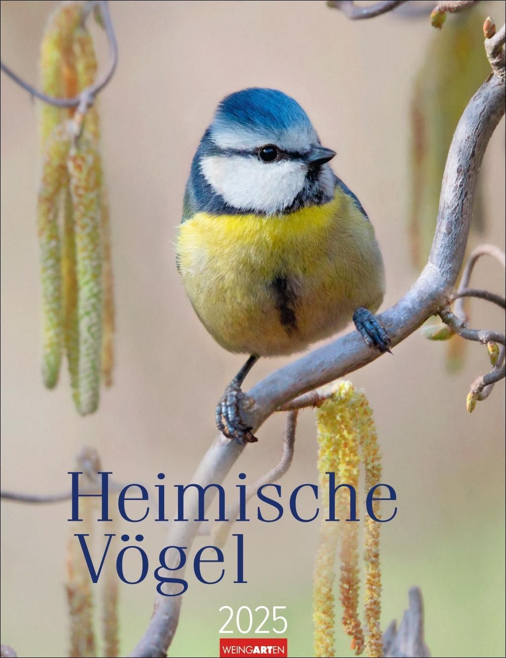 Cover: 9783839900710 | Heimische Vögel Kalender 2025 | Kalender | Spiralbindung | 14 S.