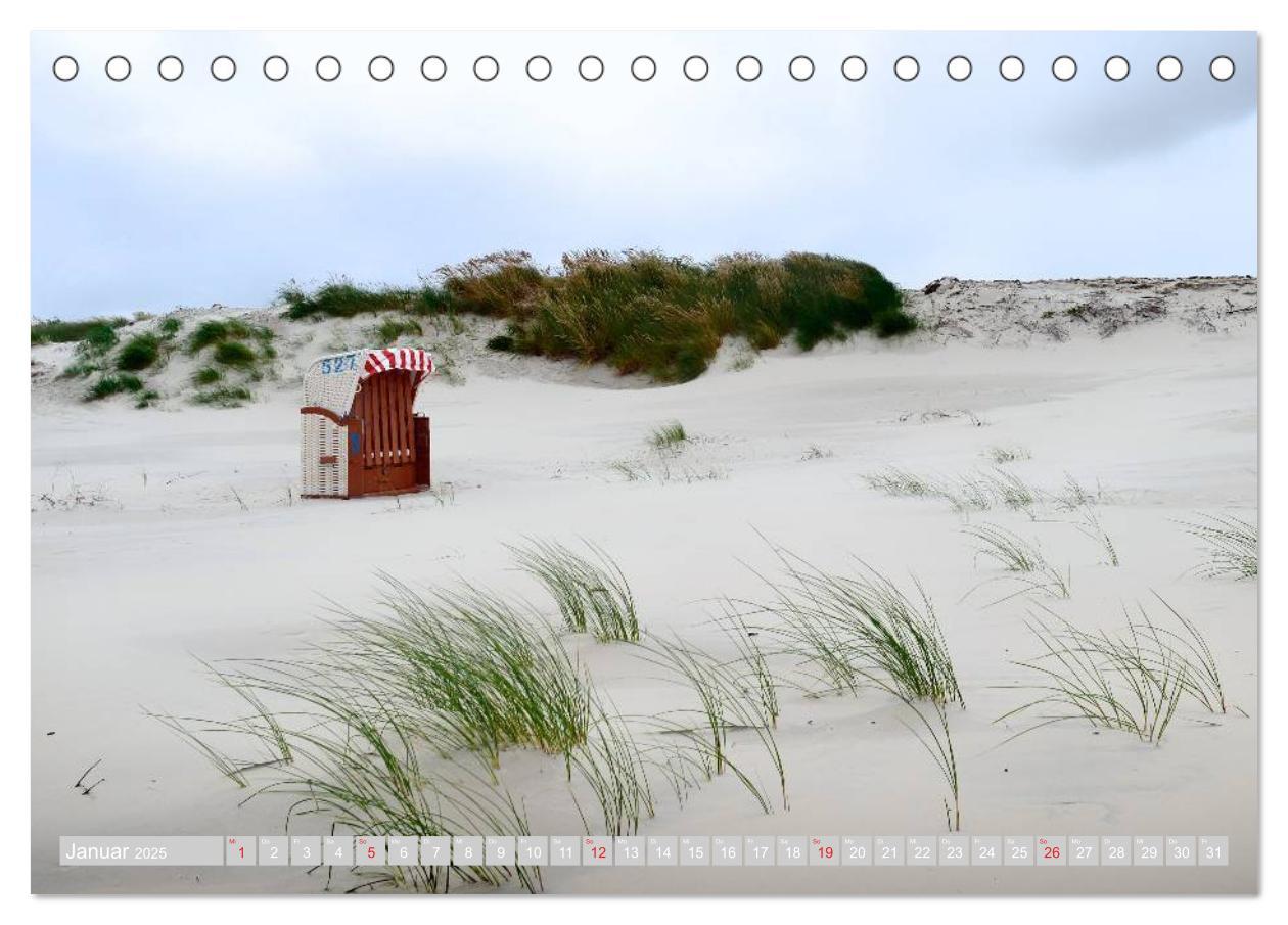 Bild: 9783435714285 | Amrum, die Perle in der Nordsee (Tischkalender 2025 DIN A5 quer),...