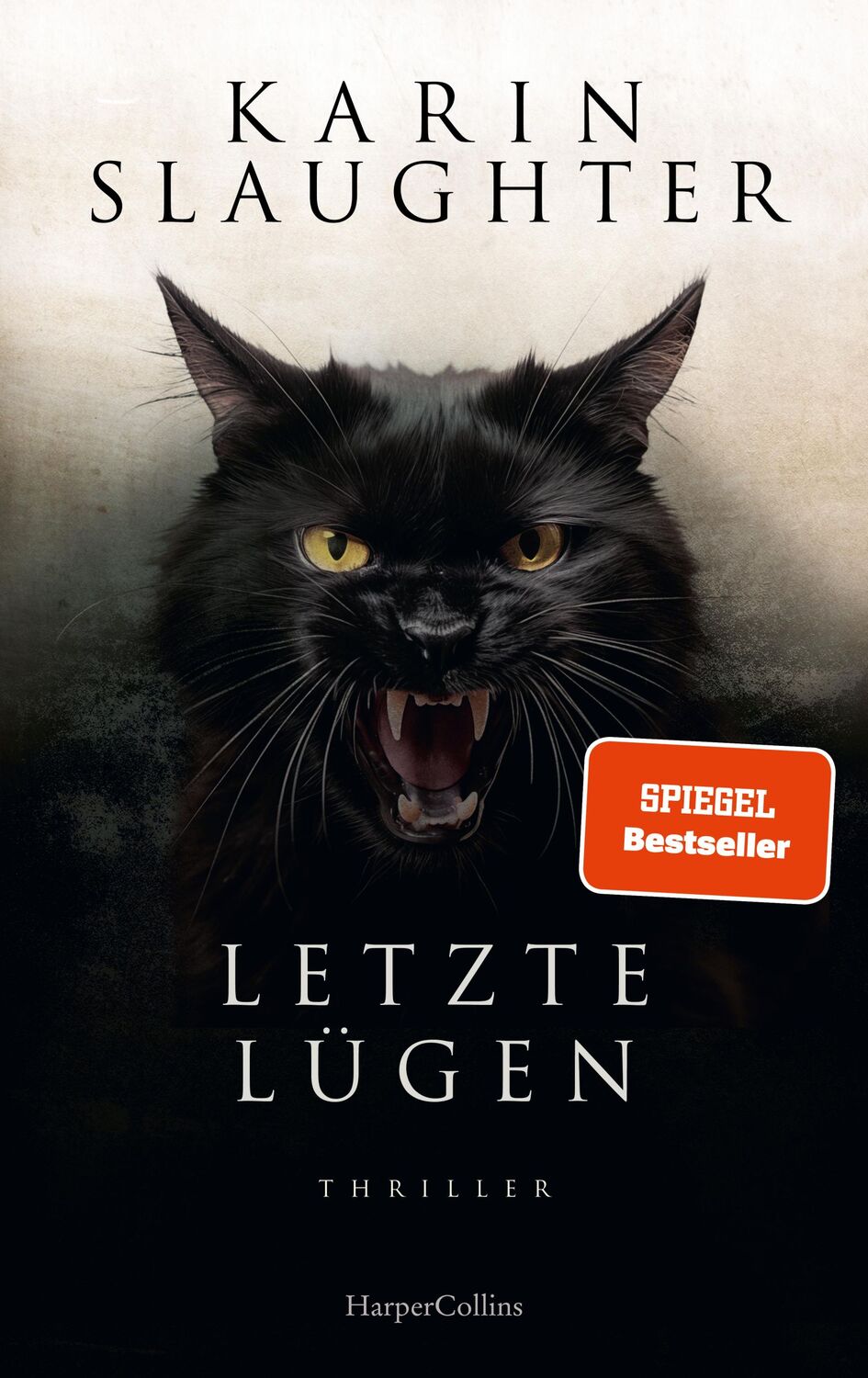 Cover: 9783365008362 | Letzte Lügen | Karin Slaughter | Buch | Georgia-Serie | 576 S. | 2024