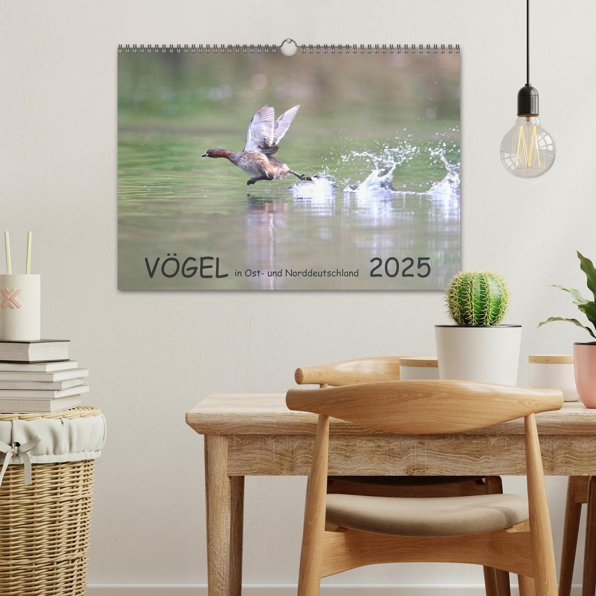 Bild: 9783435179749 | Vögel in Ost- und Norddeutschland 2025 (Wandkalender 2025 DIN A3...