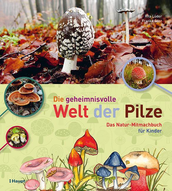 Cover: 9783258079110 | Die geheimnisvolle Welt der Pilze | Das Natur-Mitmachbuch für Kinder