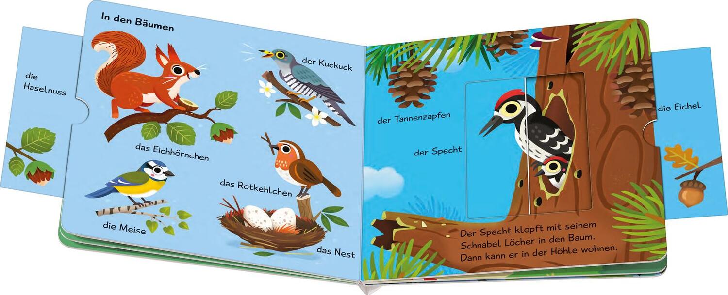 Bild: 9783473417711 | Meine ersten Wörter vom Wald - Sprechen lernen mit großen Schiebern...