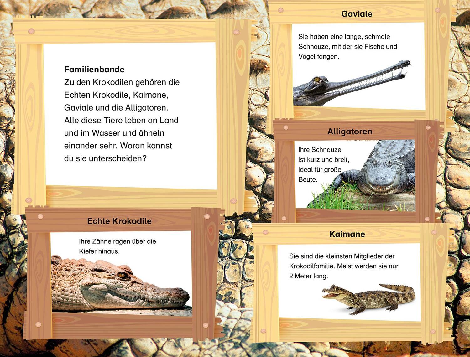 Bild: 9783831030590 | SUPERLESER! Krokodil-Abenteuer am Fluss | Buch | SUPERLESER! | Deutsch