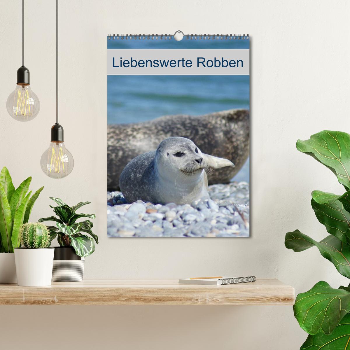 Bild: 9783457010518 | Liebenswerte Robben (Wandkalender 2025 DIN A3 hoch), CALVENDO...