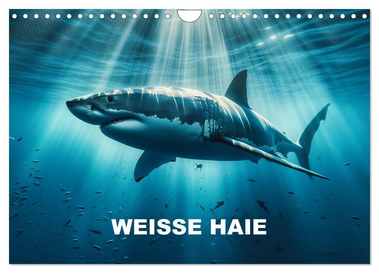 Cover: 9783383747298 | Weiße Haie (Wandkalender 2024 DIN A4 quer), CALVENDO Monatskalender