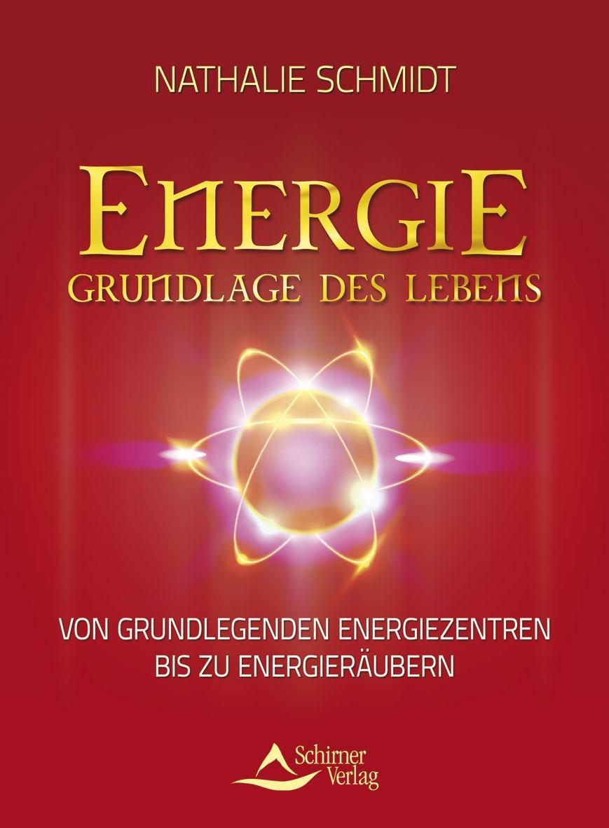 Cover: 9783843410540 | Energie - Grundlage des Lebens | Nathalie Schmidt | Taschenbuch | 2012