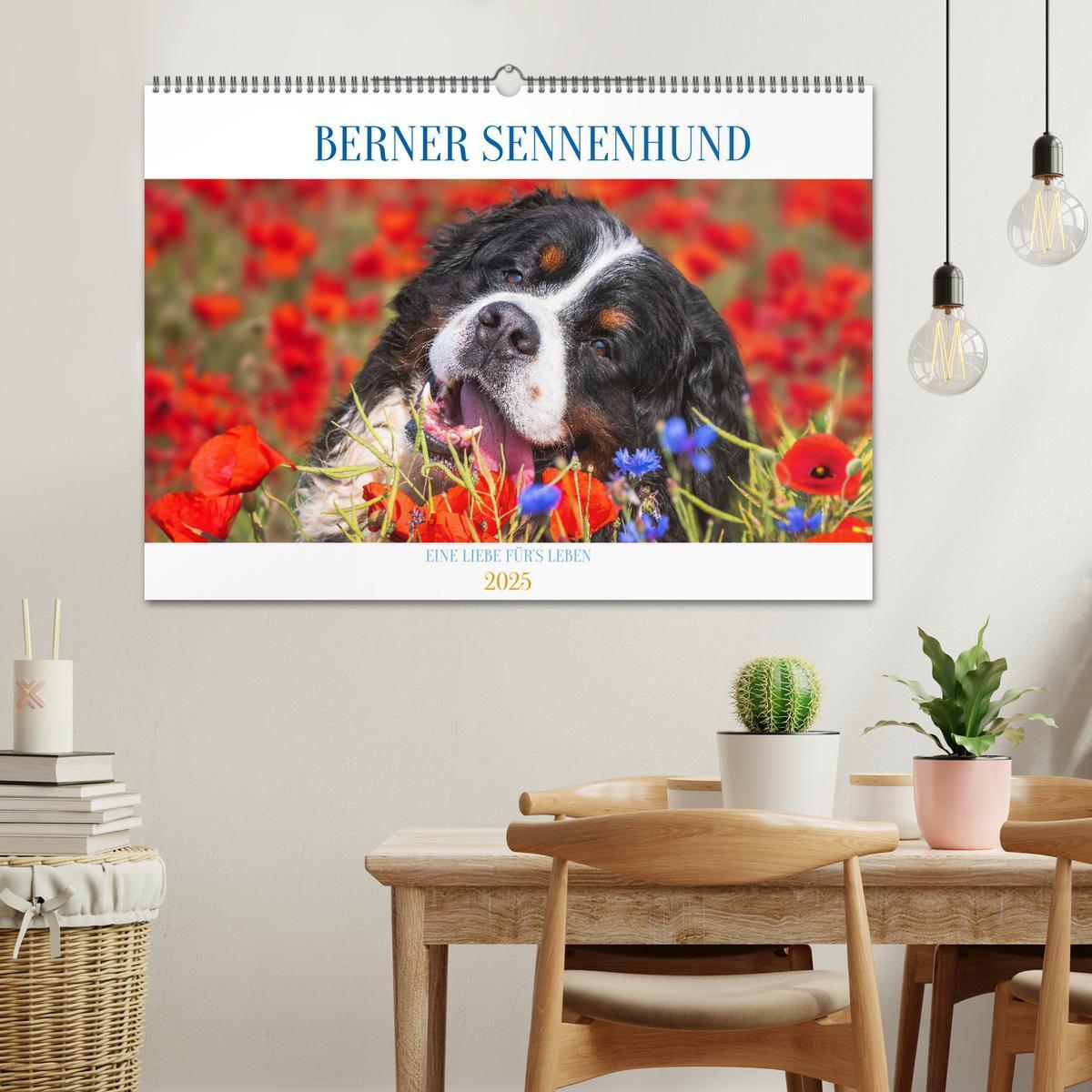 Bild: 9783383924613 | Berner Sennenhund - Eine Liebe für´s Leben (Wandkalender 2025 DIN...