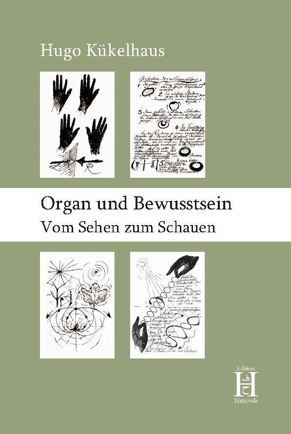 Cover: 9783958170087 | Organ und Bewusstsein | Vom Sehen zum Schauen | Hugo Kükelhaus | Buch