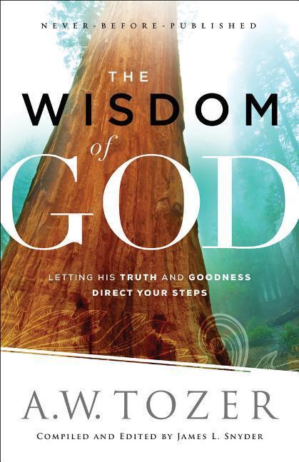 Cover: 9780764218088 | The Wisdom of God | Letting His Truth and Goodness Direct Your Steps