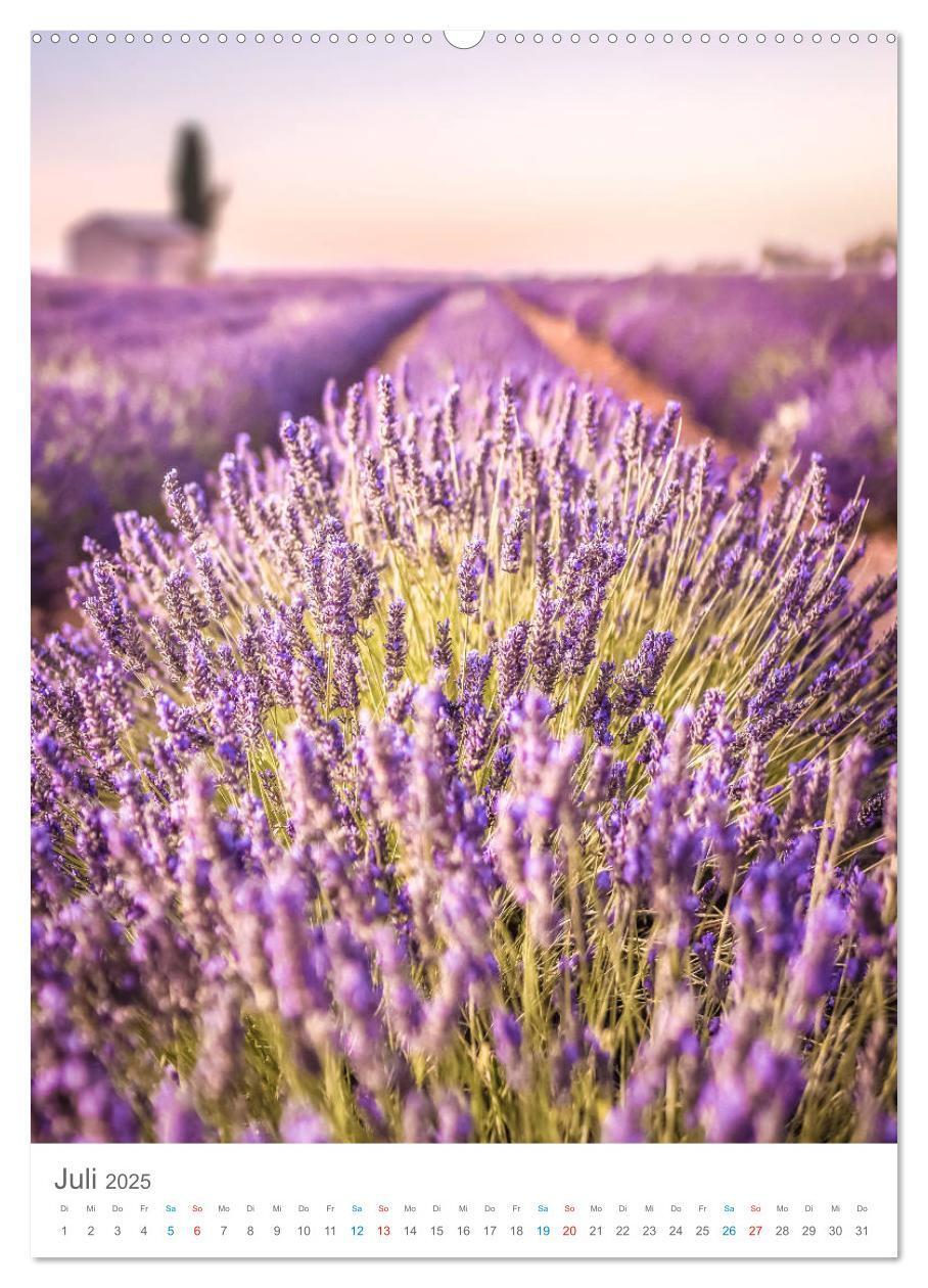 Bild: 9783435986743 | Provence im Licht (Wandkalender 2025 DIN A2 hoch), CALVENDO...