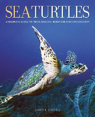 Cover: 9780801880070 | Sea Turtles | James R. Spotila | Buch | Gebunden | Englisch | 2005