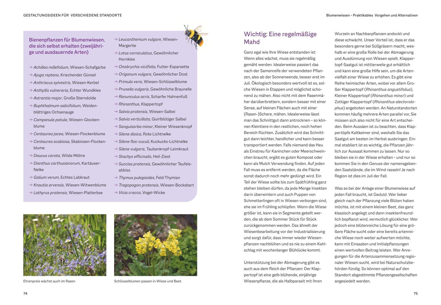 Bild: 9783967471120 | Bienenfreundlich Gärtnern | Katrin Lugerbauer | Buch | 144 S. | 2023