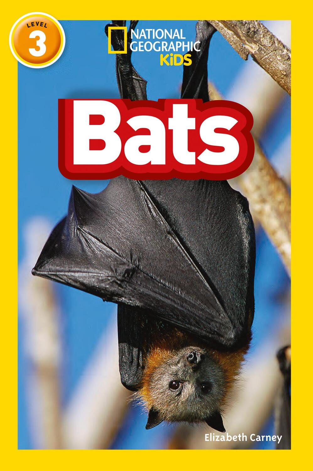 Cover: 9780008266707 | Bats | Level 3 | Elizabeth Carney (u. a.) | Taschenbuch | Englisch