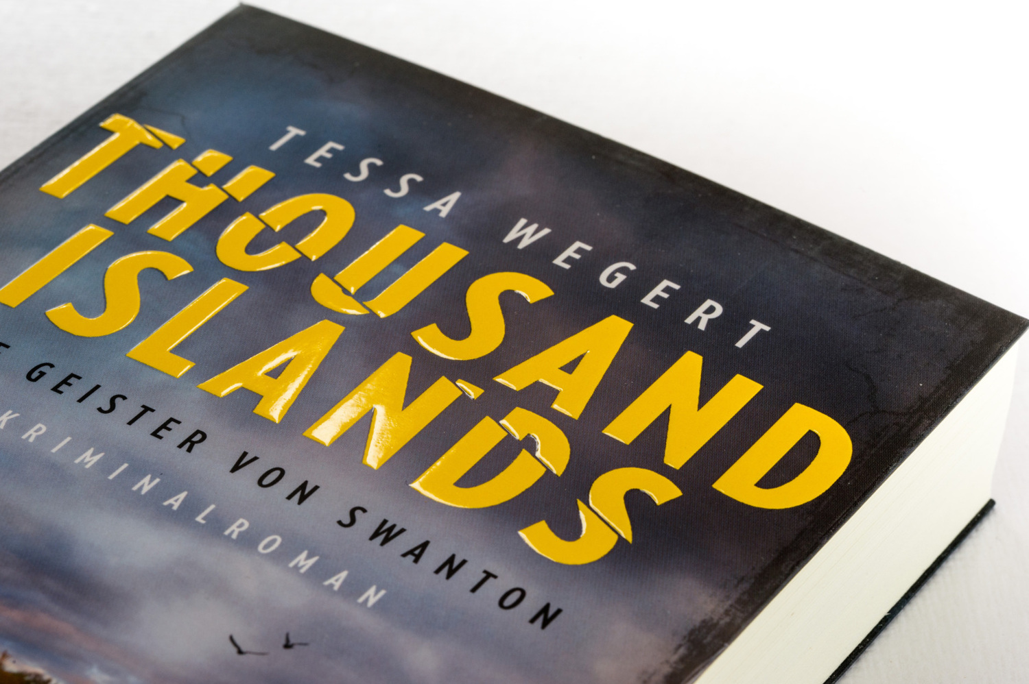 Bild: 9783453424425 | Thousand Islands - Die Geister von Swanton | Kriminalroman | Wegert