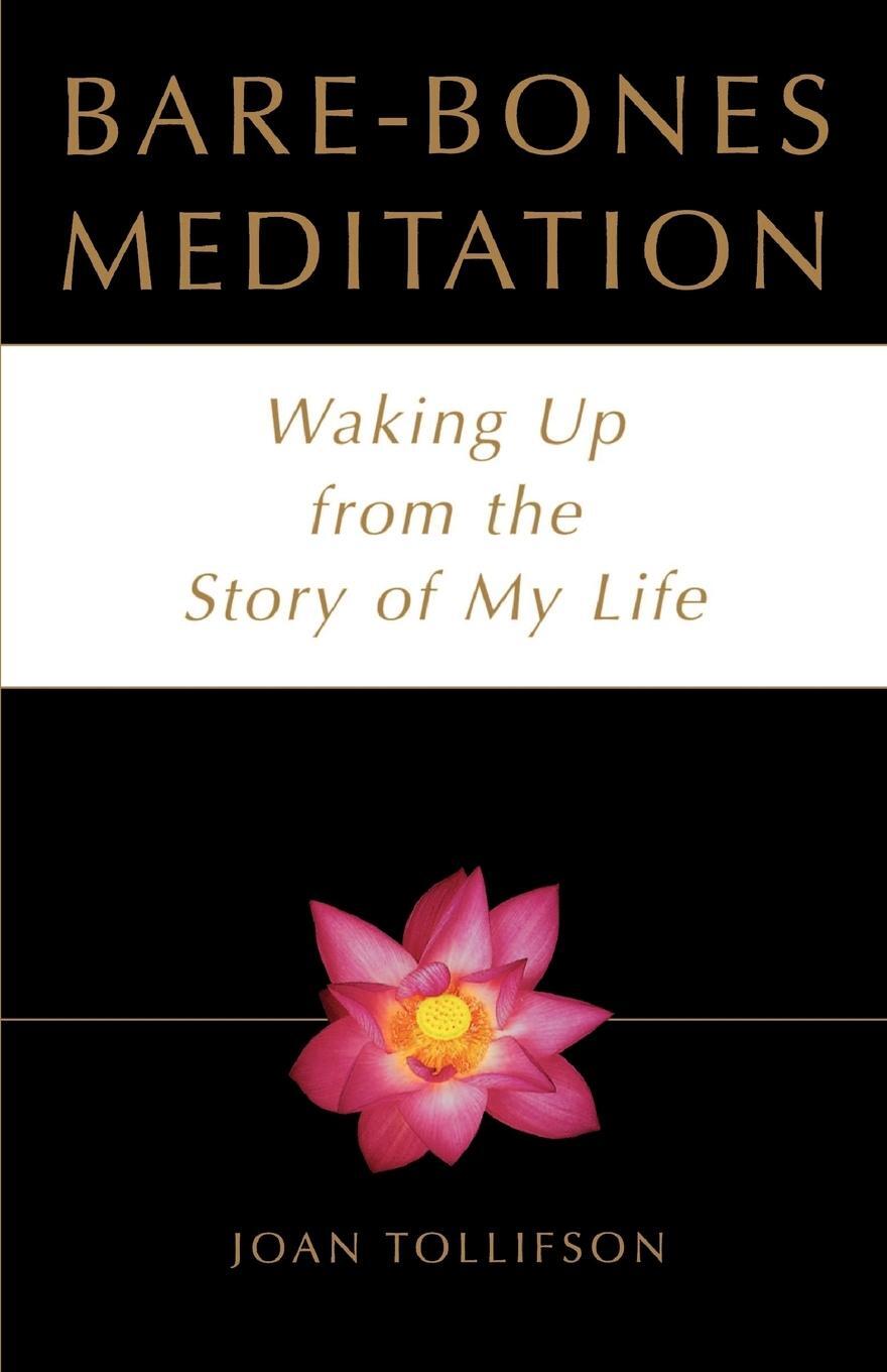 Cover: 9780517887929 | Bare-Bones Meditation | Waking Up from the Story of My Life | Buch