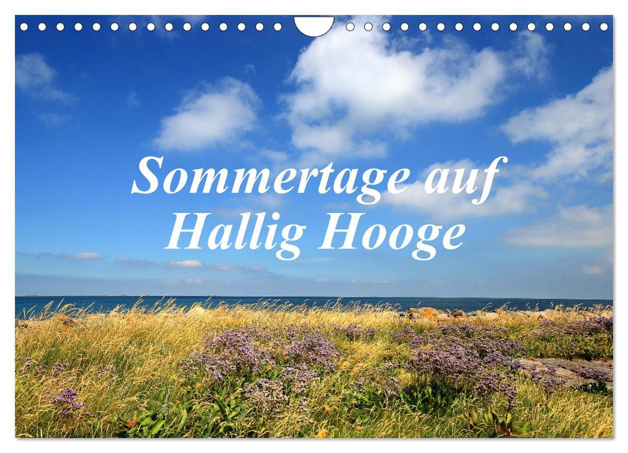 Cover: 9783435257249 | Sommertage auf Hallig Hooge (Wandkalender 2025 DIN A4 quer),...