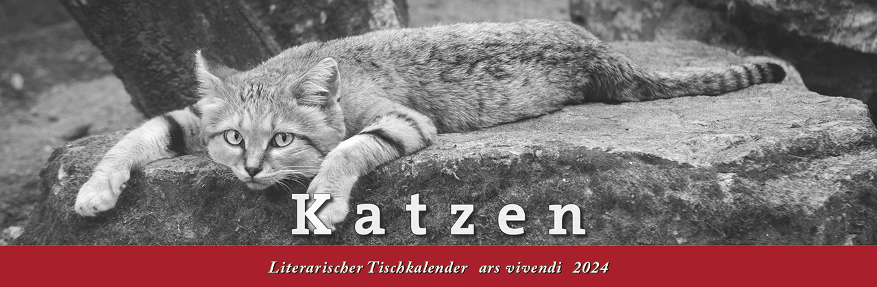 Cover: 9783747204979 | Literarischer Tischkalender Katzen 2024 | ars vivendi Verlag | 53 S.