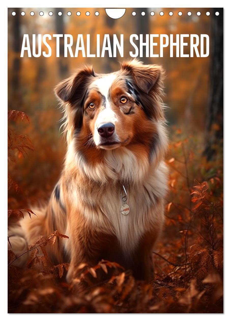 Cover: 9783675542211 | Australian Shepherd (Wandkalender 2024 DIN A4 hoch), CALVENDO...