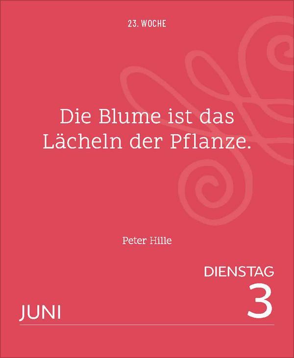 Bild: 9783731880561 | Weisheiten großer Dichter und Denker 2025 | Verlag Korsch | Kalender