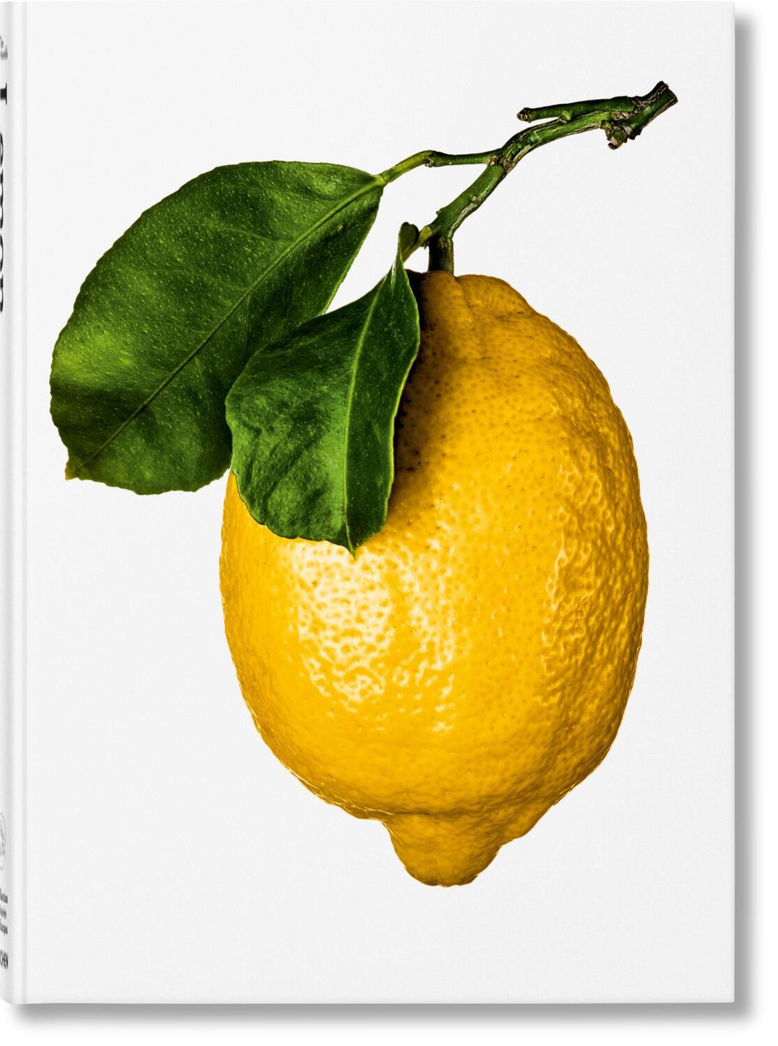 Cover: 9783836585903 | The Gourmand's Lemon. A Collection of Stories and Recipes | Pellerin