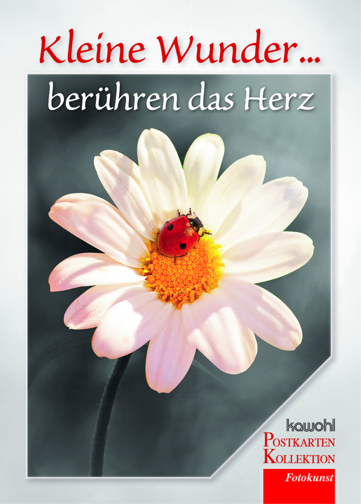 Cover: 9783863383367 | Kleine Wunder berühren das Herz, Postkarten-Buch | Taschenbuch | 16 S.