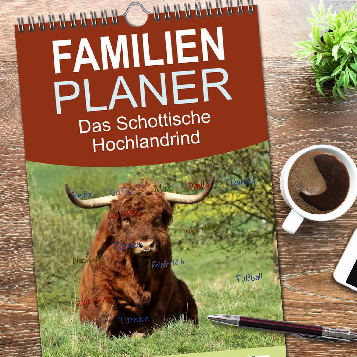 Bild: 9783457111802 | Familienplaner 2025 - Das Schottische Hochlandrind mit 5 Spalten...