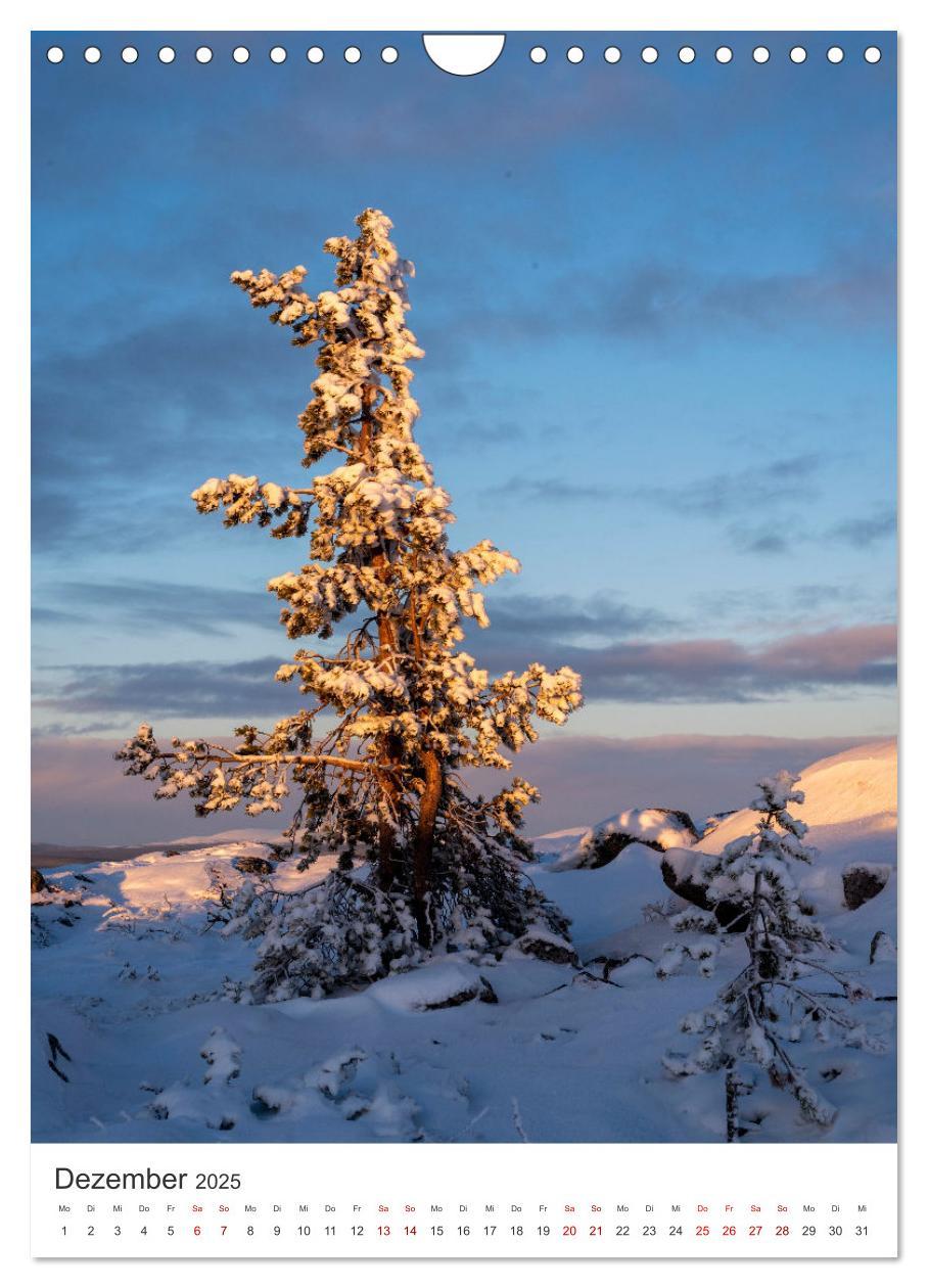 Bild: 9783435886623 | Winter in Lappland - Bezaubernde Schönheit (Wandkalender 2025 DIN...