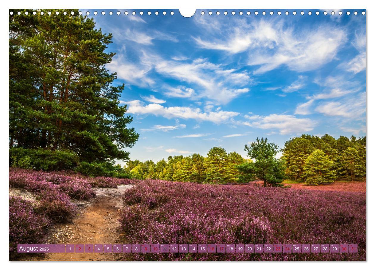 Bild: 9783383960222 | Romantische Heideblüte (Wandkalender 2025 DIN A3 quer), CALVENDO...