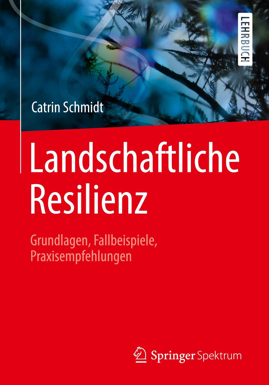 Cover: 9783662610282 | Landschaftliche Resilienz | Catrin Schmidt | Taschenbuch | VII | 2020