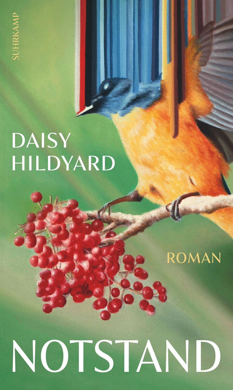 Cover: 9783518431634 | Notstand | Daisy Hildyard | Buch | 237 S. | Deutsch | 2024 | Suhrkamp
