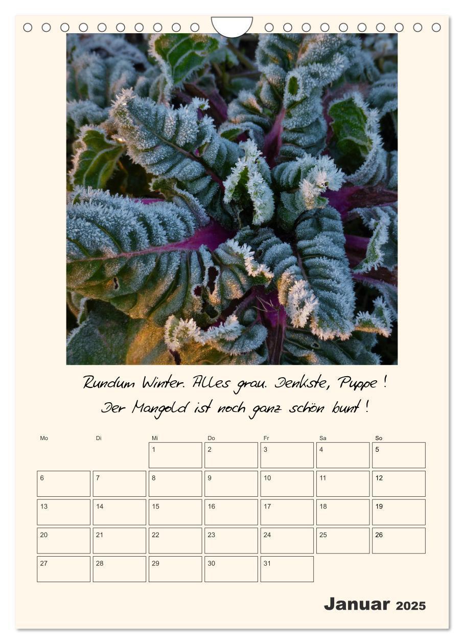 Bild: 9783435999583 | Gartengeschichten (Wandkalender 2025 DIN A4 hoch), CALVENDO...