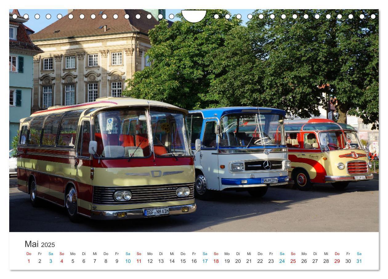 Bild: 9783383829895 | Omnibusse im Fokus (Wandkalender 2025 DIN A4 quer), CALVENDO...