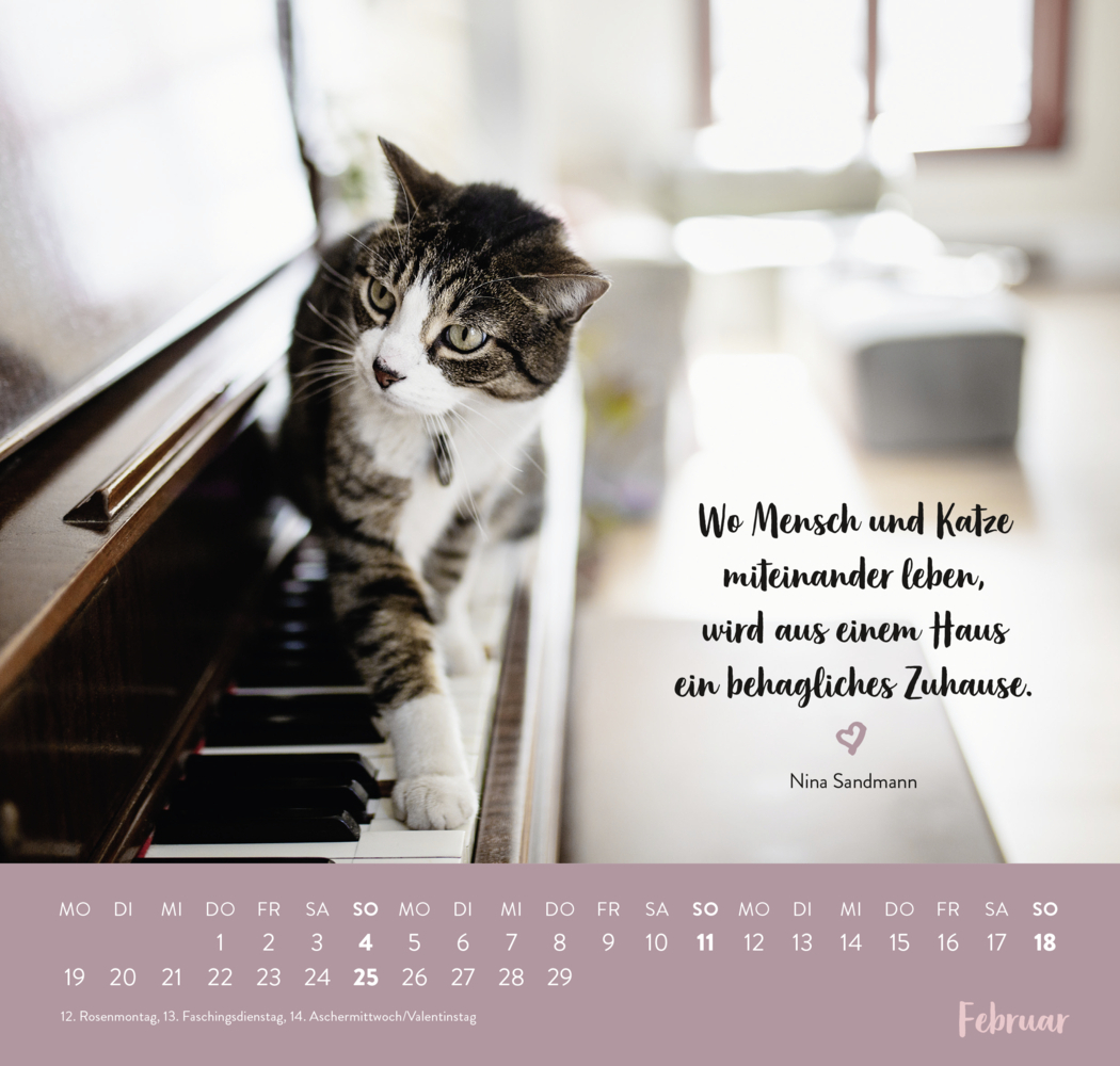 Bild: 4036442010587 | Wandkalender 2024: Für Katzenfreunde | Groh Verlag | Kalender | 12 S.