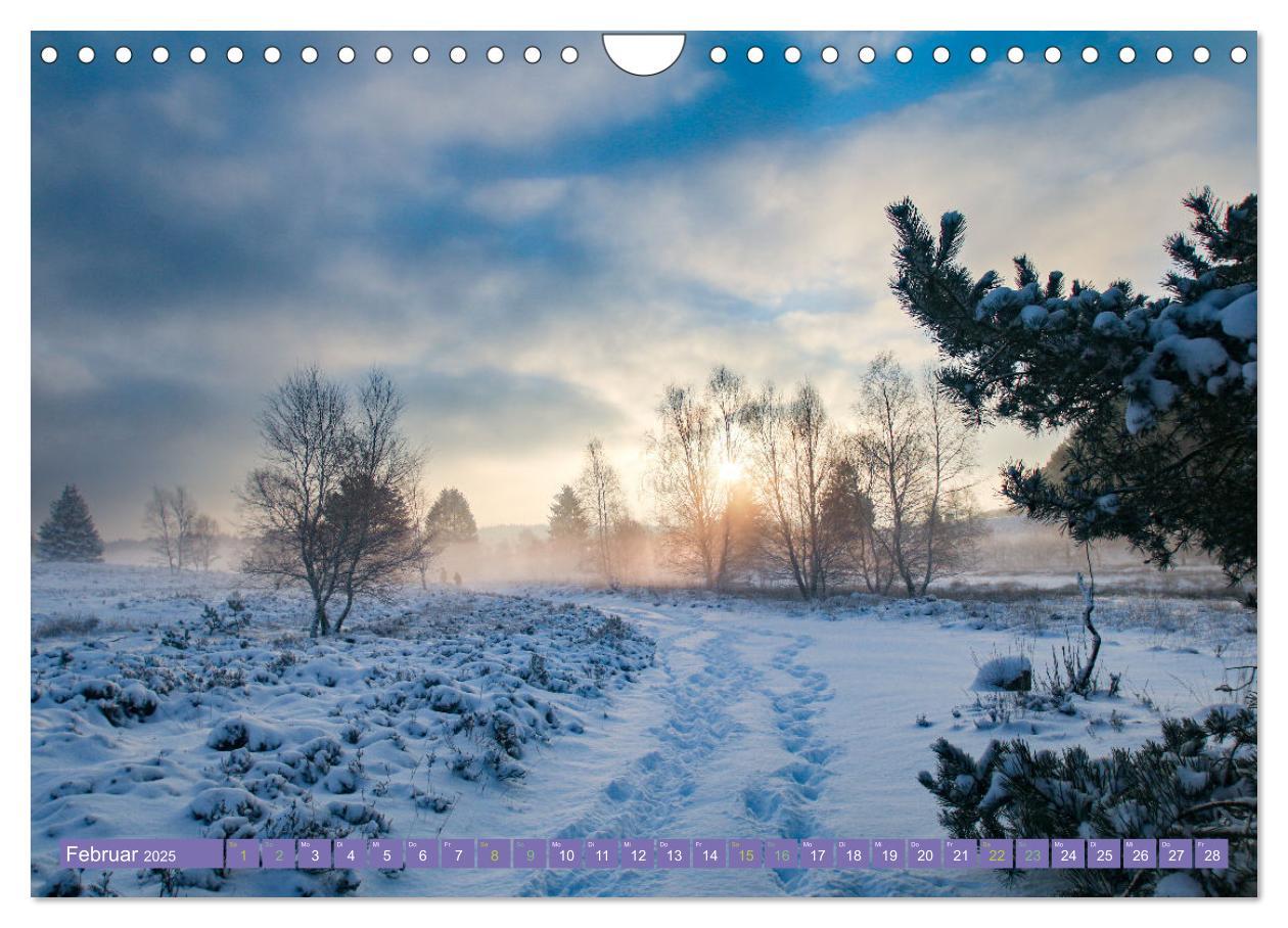 Bild: 9783383984419 | Die Farbenpracht der Lüneburger Heide (Wandkalender 2025 DIN A4...