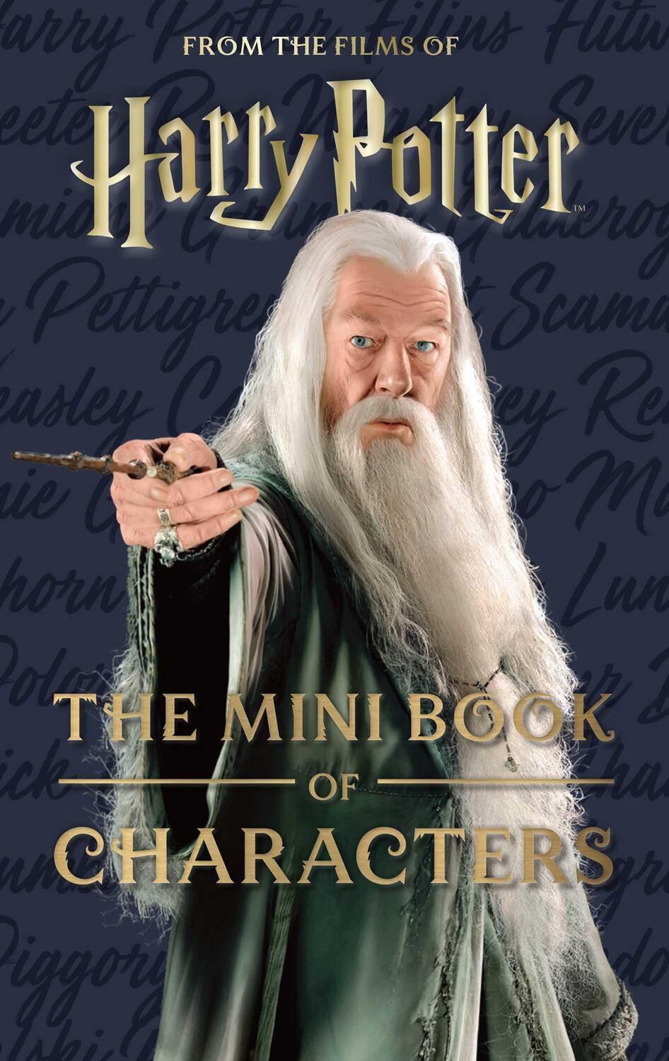 Cover: 9798886637229 | Harry Potter: The Mini Book of Characters | Jody Revenson | Buch