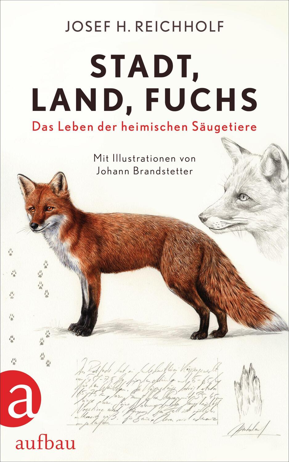 Cover: 9783351038564 | Stadt, Land, Fuchs | Das Leben der heimischen Säugetiere | Reichholf