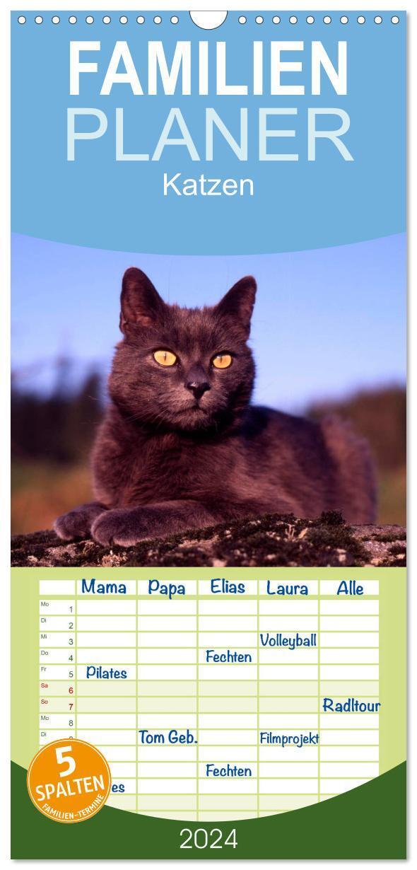 Cover: 9783383102769 | Familienplaner 2024 - Katzen mit 5 Spalten (Wandkalender, 21 x 45...