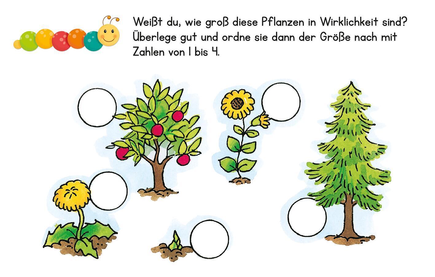 Bild: 9783845846859 | Lernraupe - Kindergarten-Übungsbox | 50 Karten mit abwischbarem Stift