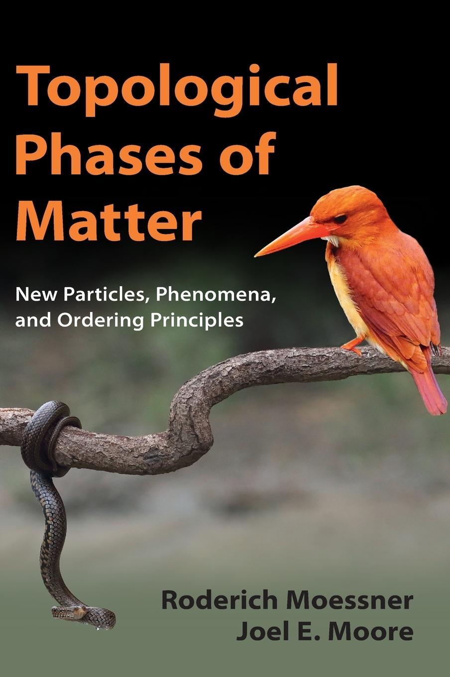 Cover: 9781107105539 | Topological Phases of Matter | Joel E. Moore | Buch | Englisch | 2021