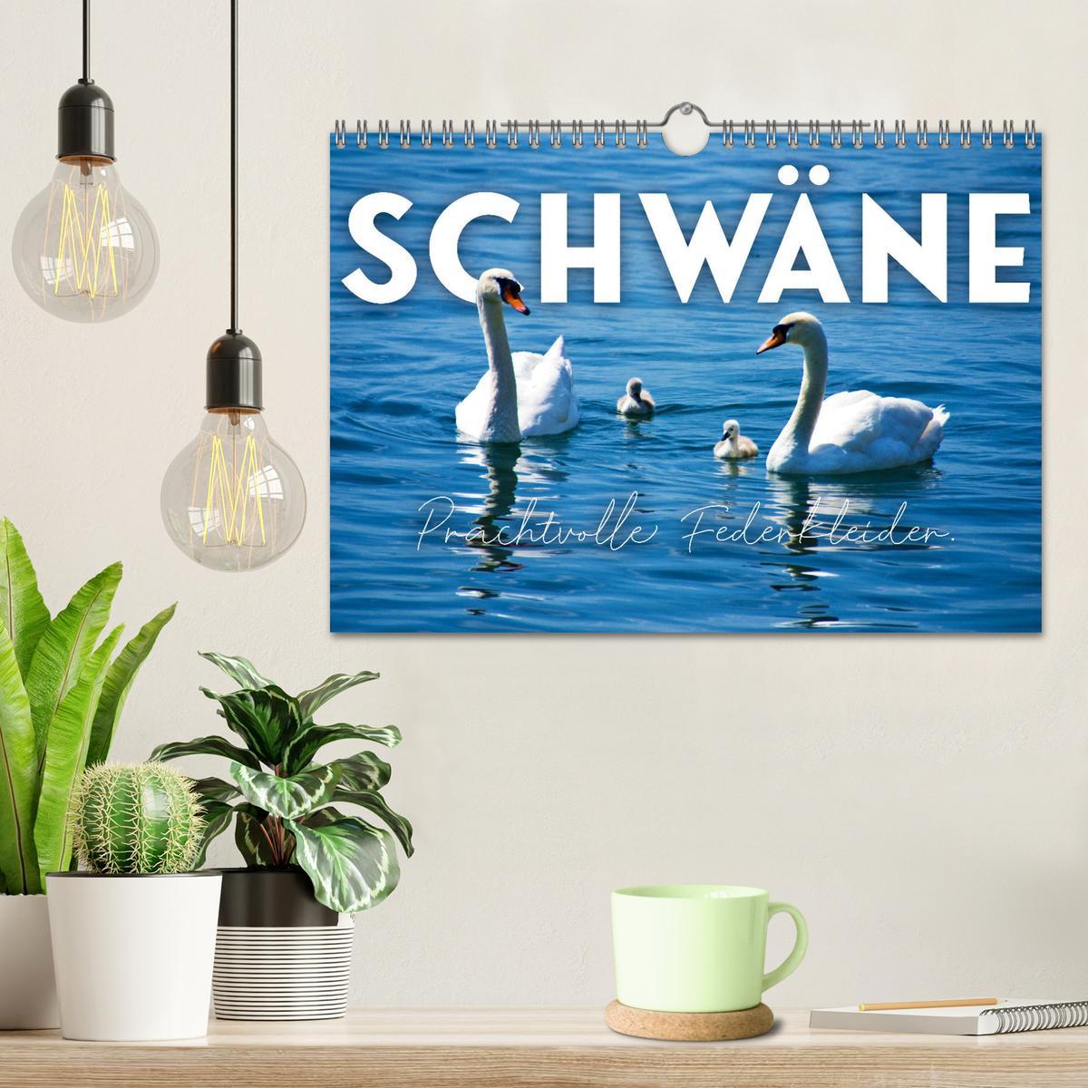 Bild: 9783383934667 | Schwäne - Prachtvolle Federkleider. (Wandkalender 2025 DIN A4...