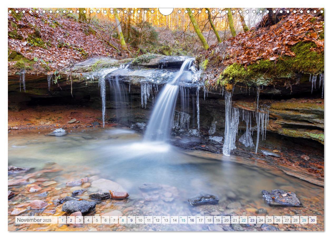 Bild: 9783457197554 | Bunter Pfälzerwald (Wandkalender 2025 DIN A3 quer), CALVENDO...