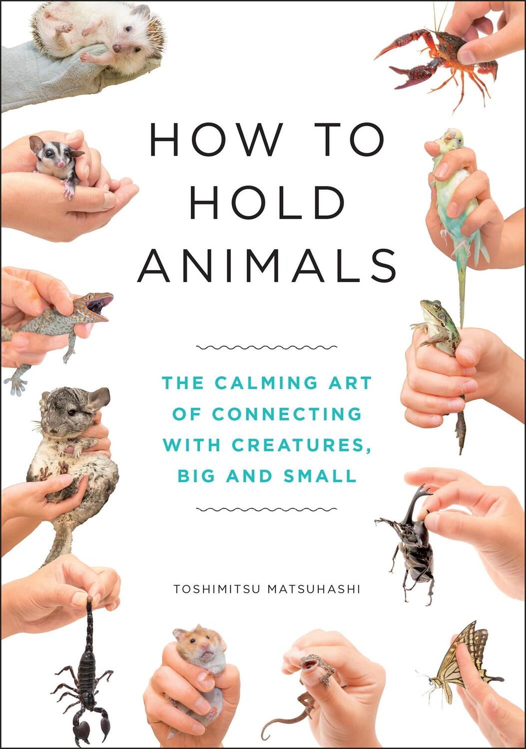 Cover: 9781529404531 | How to Hold Animals | Toshimitsu Matsuhashi | Buch | Gebunden | 2020