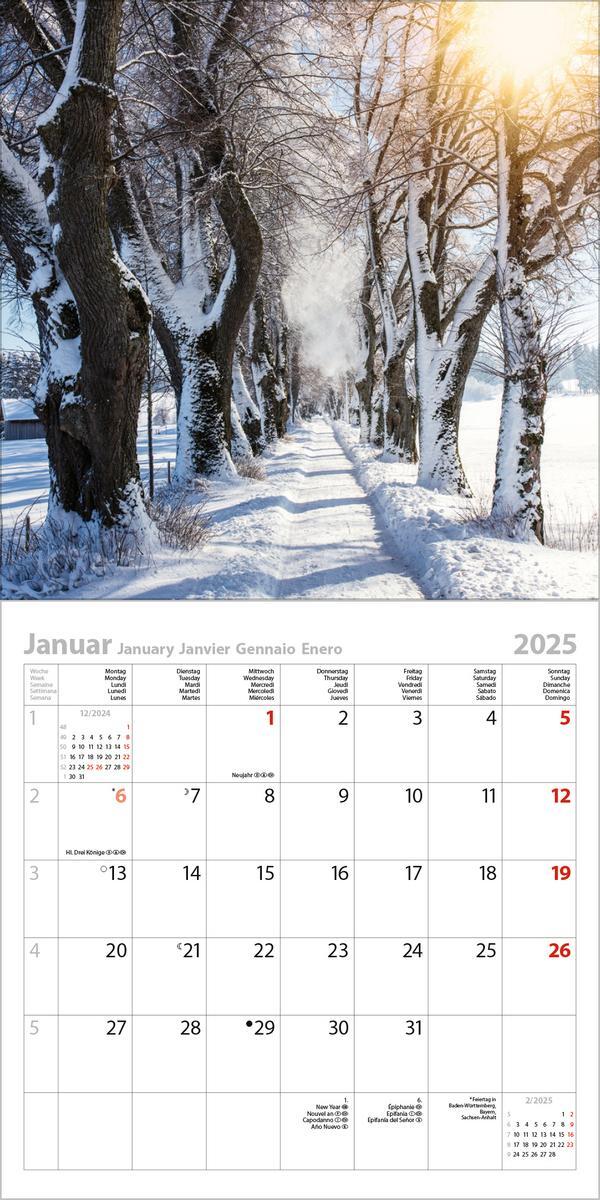 Bild: 9783731876458 | Traumwege 2025 | Verlag Korsch | Kalender | 13 S. | Deutsch | 2025