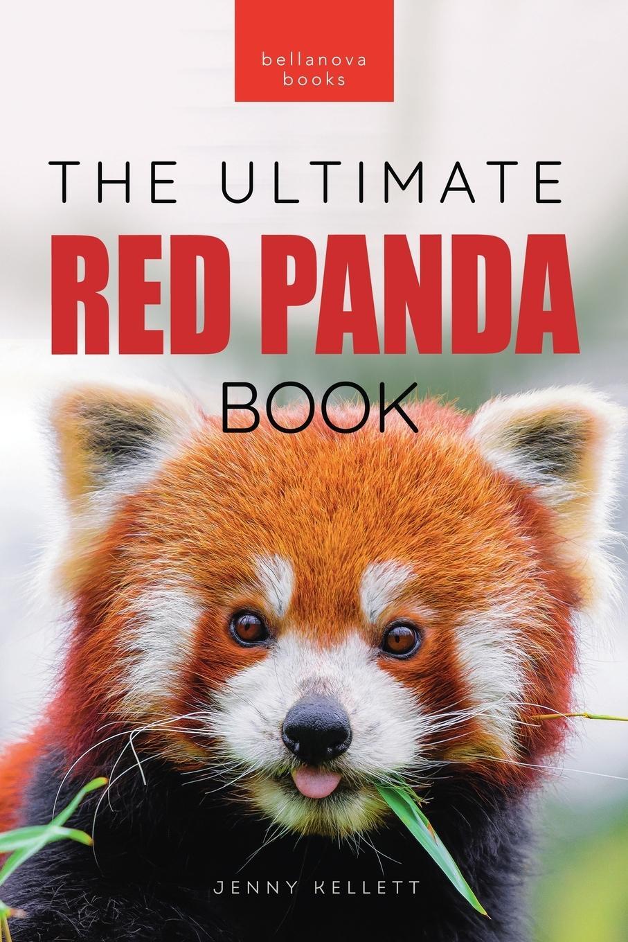 Cover: 9786197695434 | Red Pandas The Ultimate Book | Jenny Kellett | Taschenbuch | Paperback