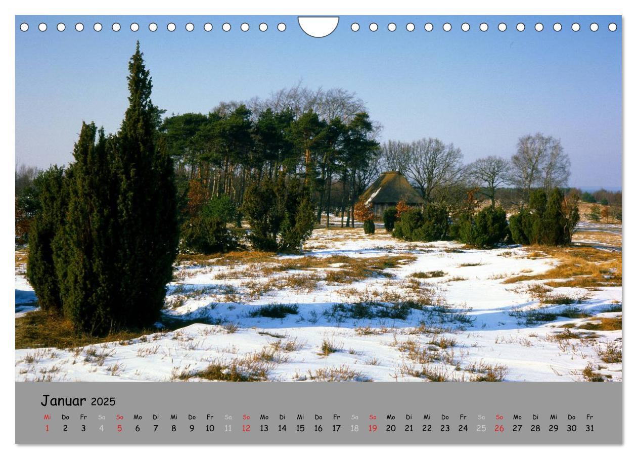 Bild: 9783435679232 | Lüneburger Heide - schön zu jeder Jahreszeit (Wandkalender 2025 DIN...